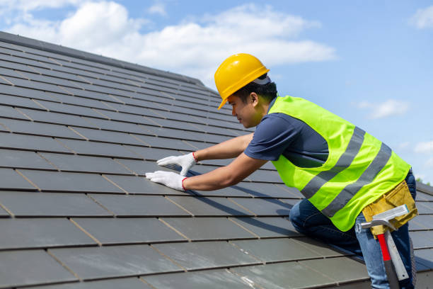 Best Storm Damage Roof Repair  in Brewton, AL
